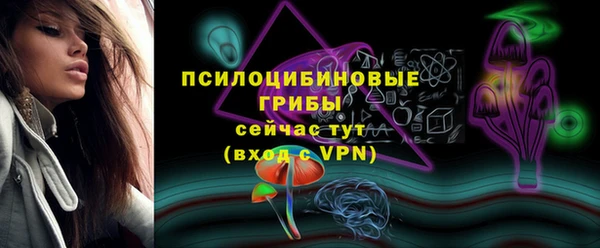 ГАЛЛЮЦИНОГЕННЫЕ ГРИБЫ Горняк
