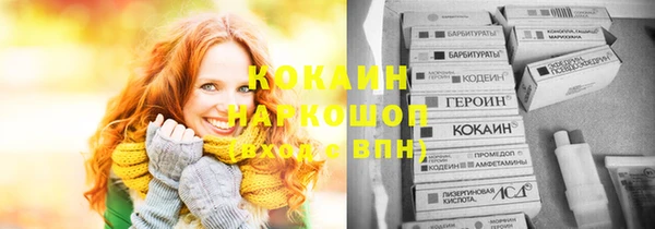 ГАЛЛЮЦИНОГЕННЫЕ ГРИБЫ Горняк
