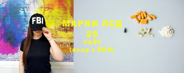 ГАЛЛЮЦИНОГЕННЫЕ ГРИБЫ Горняк