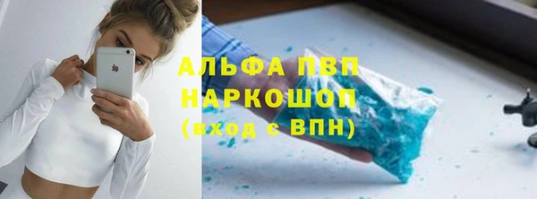 ГАЛЛЮЦИНОГЕННЫЕ ГРИБЫ Горняк